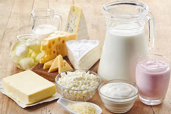 Milk Processing Line Mixed Products - Cheese-Milk-Yogurt
